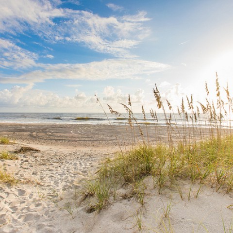 Dunes