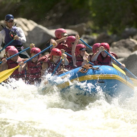Raft