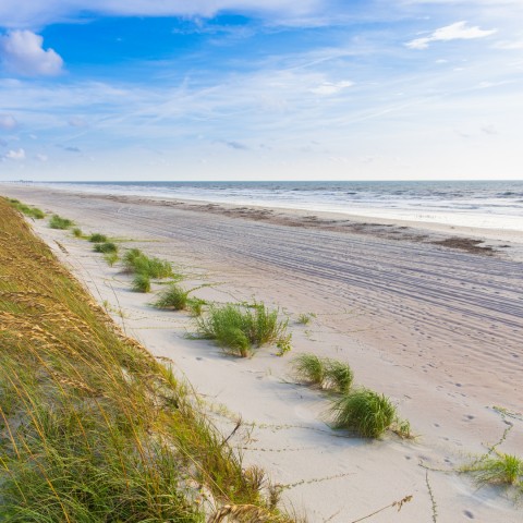 Amelia Island Beach