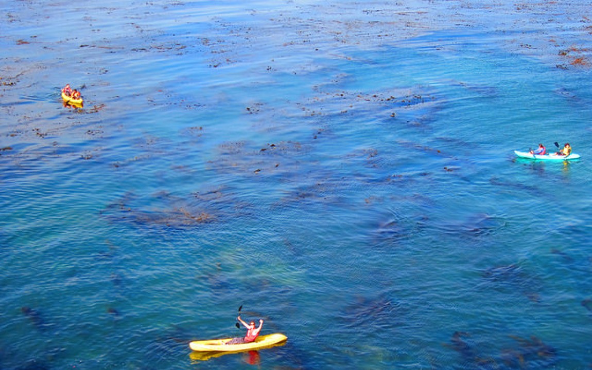 kayakers