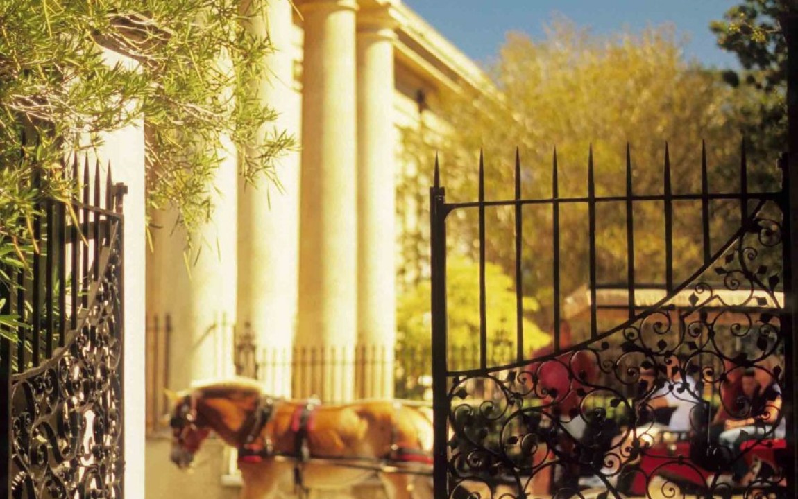 Horse and Carriage